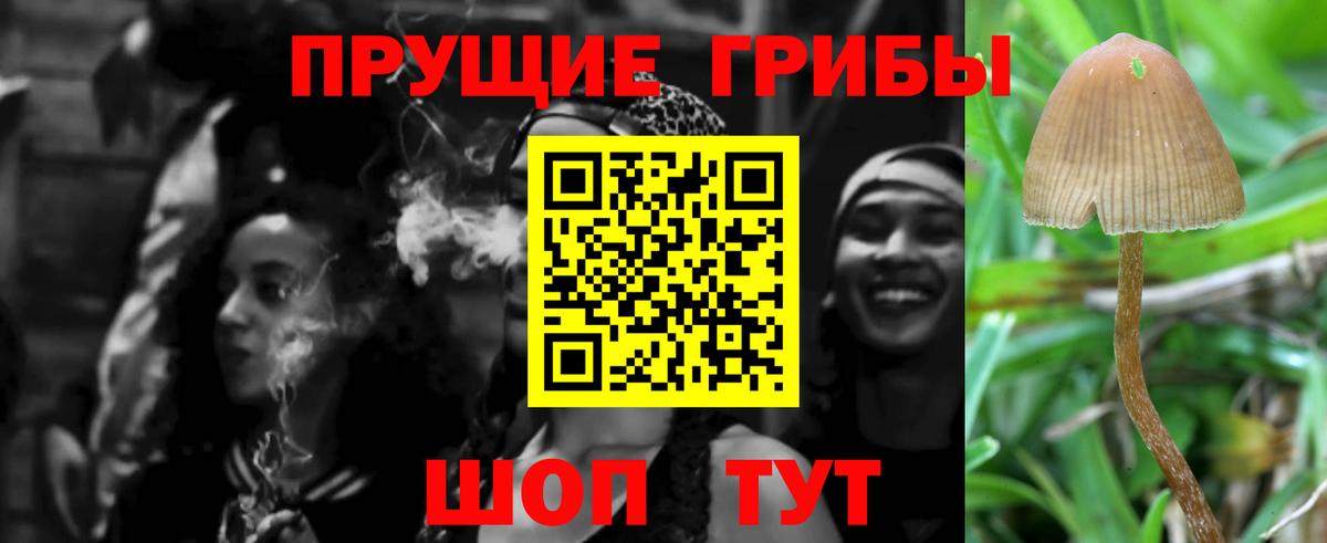 Димитровград  Галлюциногенные грибы мицелий  Вход с VPN  Псилоцибиновые грибы Magic Shrooms 